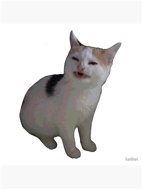 "Angry Cat Meme" Poster for Sale by katikat | Redbubble