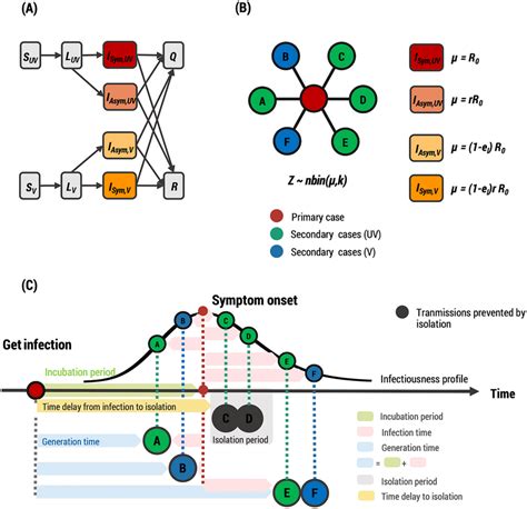 Model structure of COVID-19 transmission. (A) Schematic of the... | Download Scientific Diagram