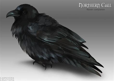 Northern Call: Raven companion by Chickenbusiness on DeviantArt