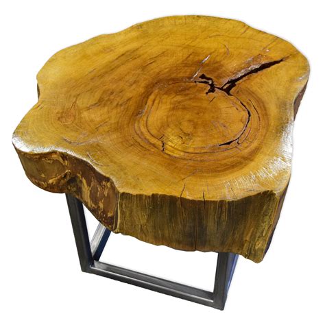 Tree trunk table