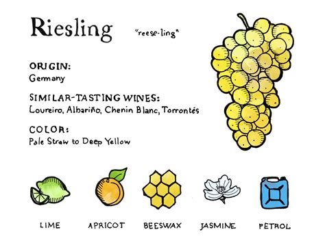 Bring On The Dry Riesling | Wine Folly