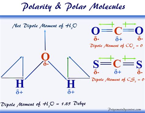 Which of the Following Bonds Is the Least Polar