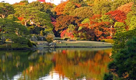 8 Autumn Scenery You Can Find in Tokyo | tsunagu Japan