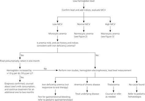 Aafp Iron Deficiency Anemia