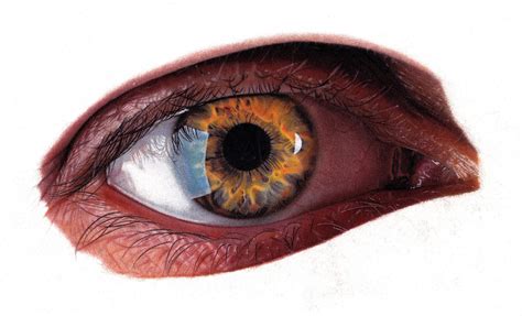 A realistic colored pencil portrait drawing of a human Eye done with Faber Castell polychromos ...