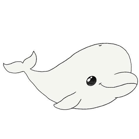 How to Draw a Beluga Whale - Easy Drawing Tutorial For Kids