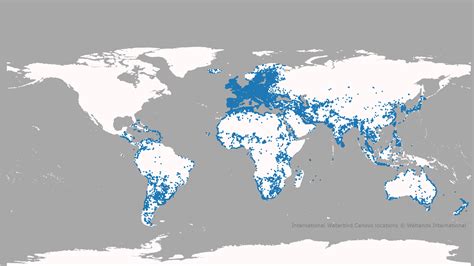 Wetlands World Map