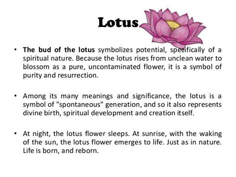 spiritual symbols - Google zoeken | Lotus flower meaning, Lotus flower tattoo meaning, Lotus ...