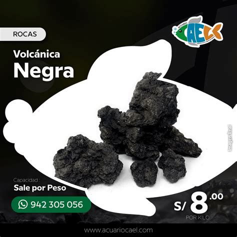 Roca Volcánica Negra (Por Peso) - Acuario Cael