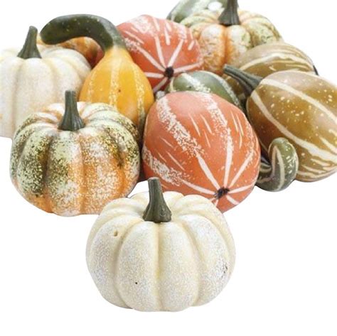 Artificial Gourds and Pumpkins Assorted Fall Table Decoration, 12 Piec - One Holiday Way