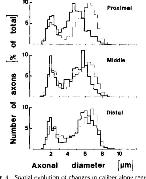 Neurofilament Proteins | Semantic Scholar