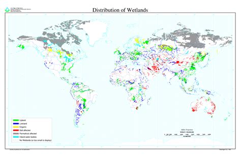 Wetlands - Wetlands - LibGuides at Renmark High School