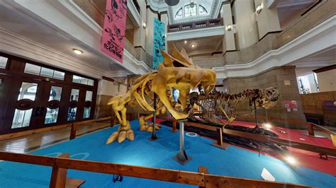 Pokémon Fossil Museum Virtual Tour Lets You See the Japanese Exhibit For Yourself | Flipboard