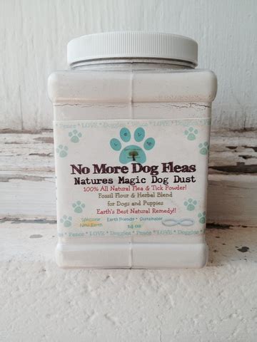 Natural Flea Control for Dogs - Certified Dallas Dog TrainerCertified Dallas Dog Trainer