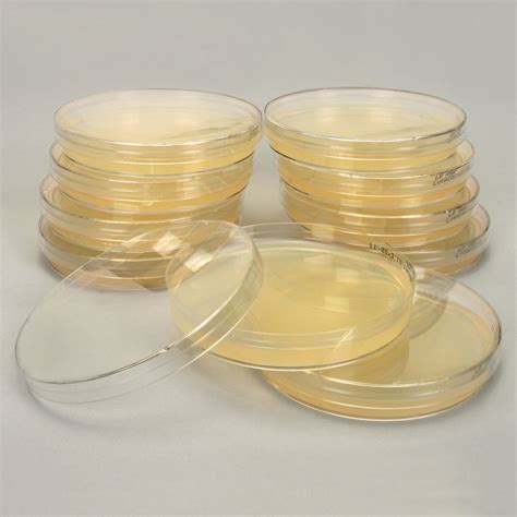 Luria Broth Agar, Prepoured Plates | Carolina.com