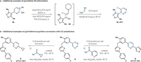 Additional examples of pyrimidine functionalization and pyrimidine to... | Download Scientific ...