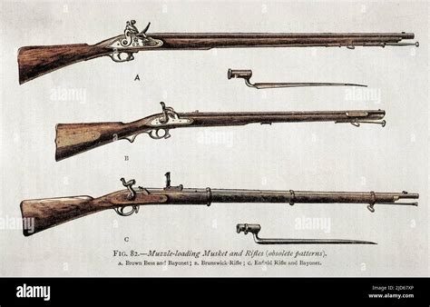 Muzzle loading musket and rifles A. Brown Bess & bayonet B. Brunswick rifle C. Enfield rifle ...