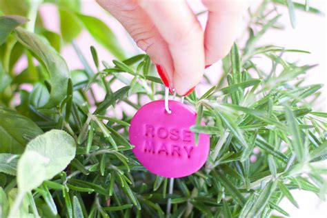 Herb Garden Plant Labels DIY - YES! we made this