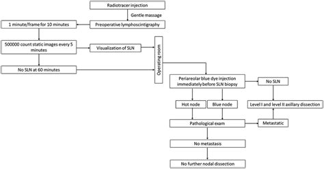 Flowchart showing the sentinel lymph node biopsy procedure in our study | Download Scientific ...