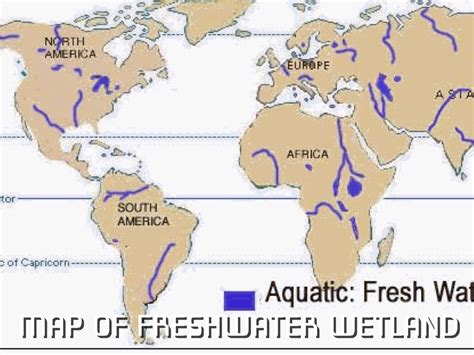 Wetlands Biome Map