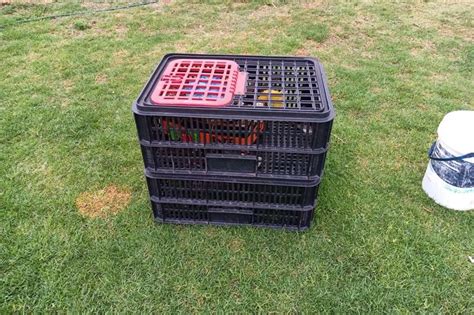 Chicken Crates for sale Livestock housing Structures and dams for sale in Gauteng | R 230 on Agrimag