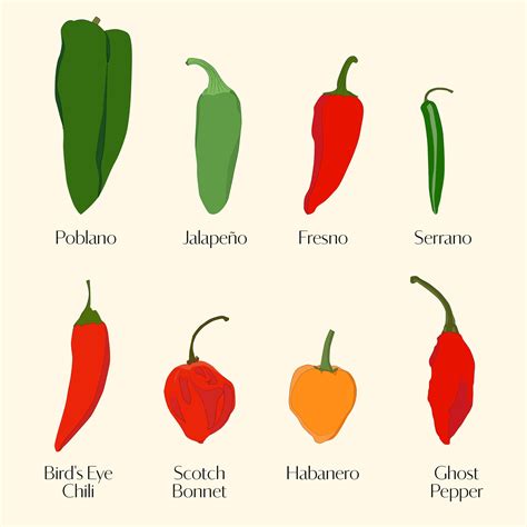 Types Of Chili Peppers Chart