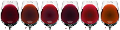 Learn The Secrets of Each Red Wine Color | Wine Folly