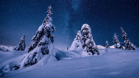 Nature Night Norway Snow Starry Sky Stars Winter HD Winter Wallpapers | HD Wallpapers | ID #57475