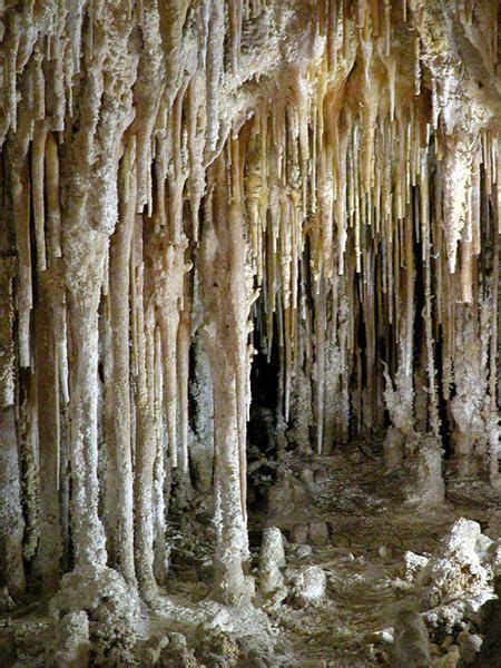 Stalactites and stalagmites | Carlsbad caverns national park, Carlsbad caverns, National park photos