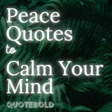 30+ Peace Quotes to Calm Your Mind [Images] - QuoteBold