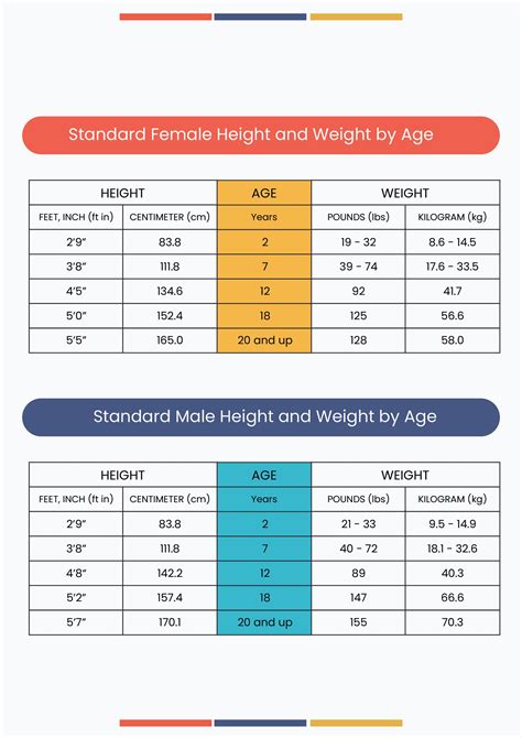 Standard Height And Weight Conversion Chart in Illustrator, PDF ...