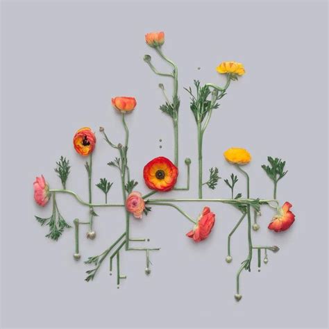 Futuristic Flowers Print | Floral wall art, Pressed flower art, Flower art