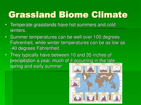 PPT - Grassland Biome PowerPoint Presentation, free download - ID:3789079