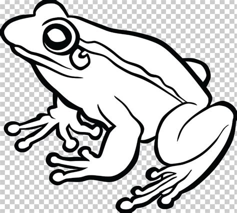 Frog Line Art Drawing PNG, Clipart, Amphibian, Animals, Art, Artwork ...