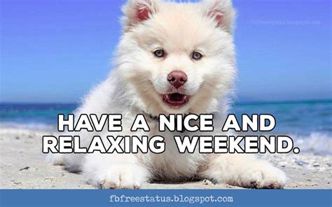 Funny & Happy Weekend Memes Quotes With Funny Weekend Images