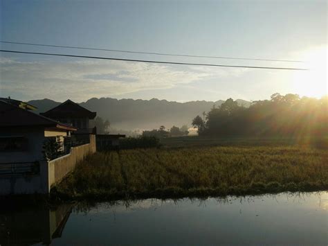 Menyambut Pagi di Kampung Halaman