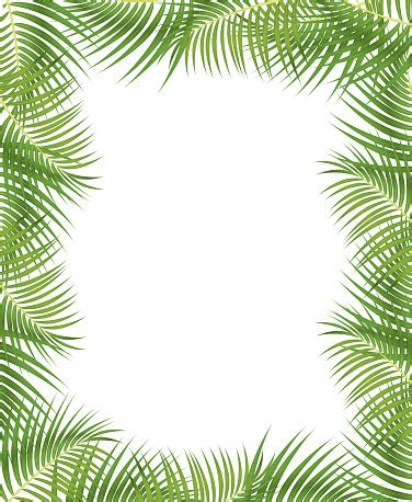 Palm Leaves Border Stock Illustration - Download Image Now - iStock