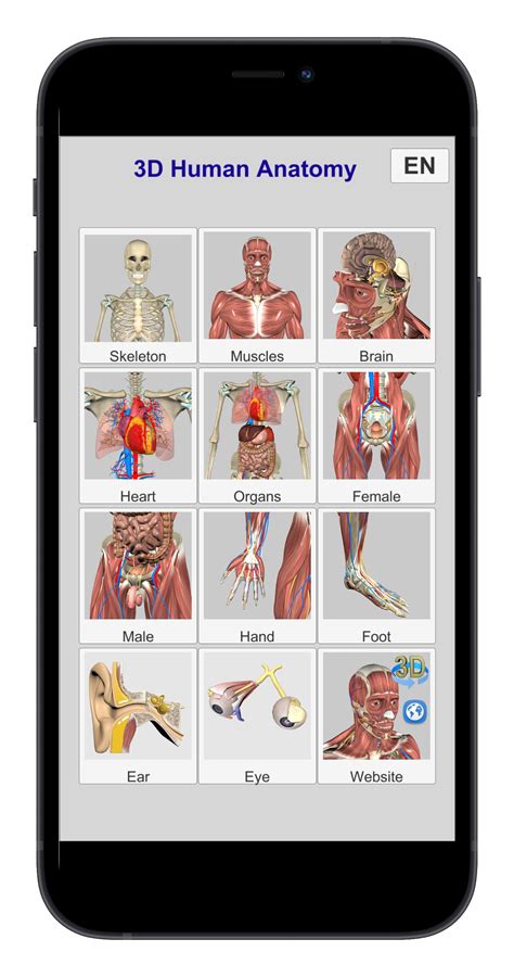 Education Mobile | 3D Anatomy app