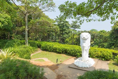 Merlion statue in a park in Singapore 1959763 Stock Photo at Vecteezy