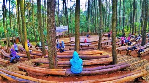 √ Hutan Pinus Mangunan: Aktivitas, Jam Buka, Tiket Masuk 2022