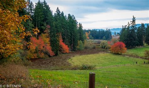 Fall Foliage on the Farm – Sequim Daily Photo