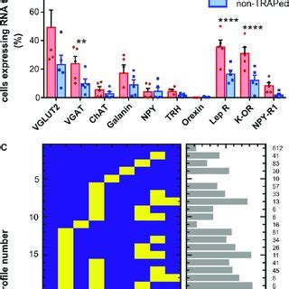 Multiplex RNA ISH (RNAscope) data (n = 5 Torp 1 hM3Dq female mice). A,... | Download Scientific ...