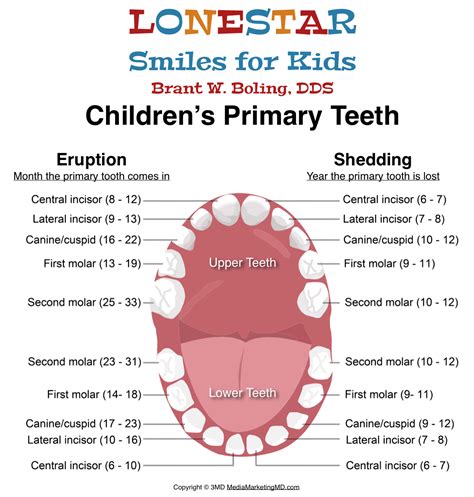 Five Stages of Teething - Lonestar Smiles for Kids