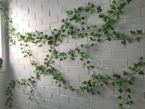 How To Grow Indoor Ivy Plants