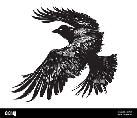 Raven flying silhouette hand drawn sketch illustration Stock Vector ...