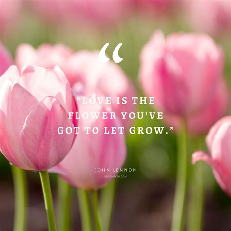 55 Inspirational Flower Quotes - Beautiful Motivational Sayings with Pictures