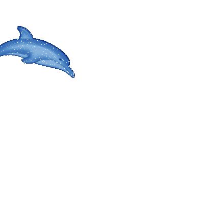 Dolphin Jumping Out Of Water Clipart Gif