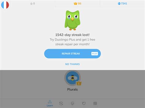 Duolingo App Icon at Vectorified.com | Collection of Duolingo App Icon ...