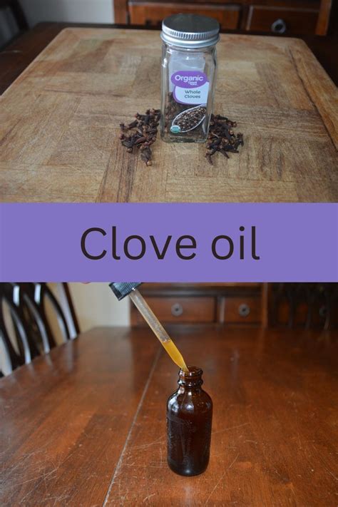 How to make clove oil for hair growth. in 2022 | Clove oil, Hair growth oil, Oils