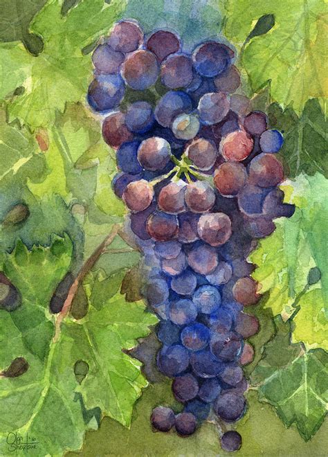 Watercolor Grapes Painting Painting by Olga Shvartsur - Pixels